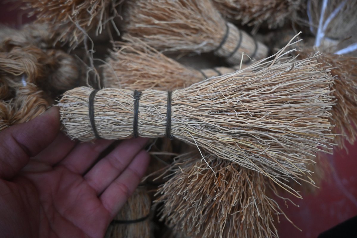En la sierra de Tapalpa quedan pocas personas que saben trabajar las raíces del zacatón (Muhlenbergia macroura) para hacer escobetas. 

Les llaman "raiceros".