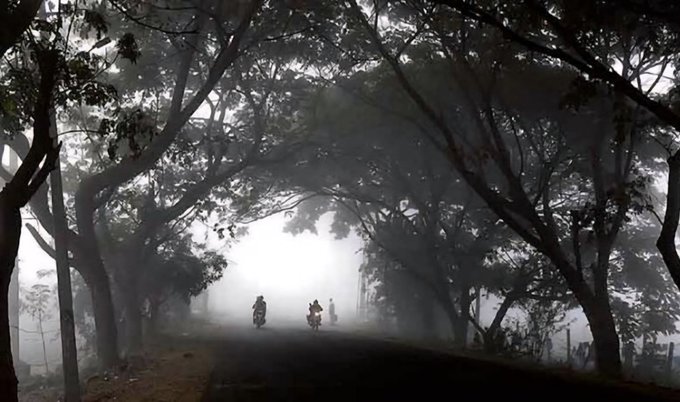 A foggy rural road stretches into the distance lined on both sides by tall trees with dense foliage forming an archway overhead. Mist obscures the far end of the path creating a mysterious atmosphere. Two small indistinct figures on motorcycles are visible riding away down the road in the background.