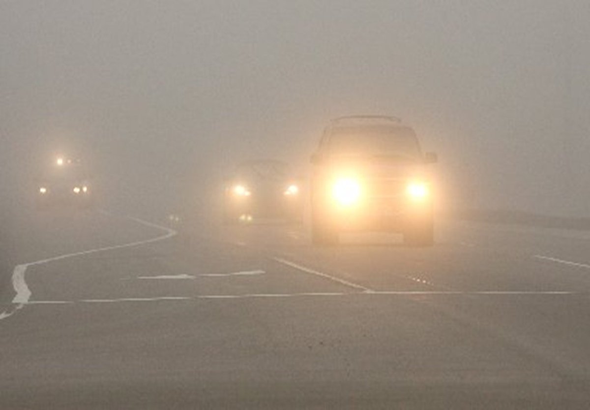 NWSLosAngeles's tweet image. HEADS UP!!!!!

Areas of dense fog are impacting the coastal plain from San Luis Obispo county to LA county this morning. 

The dense fog will last until around 9 AM.

If driving on coastal roadways such as the 1 and 101, be prepared for sudden reductions in visibility. #CAwx