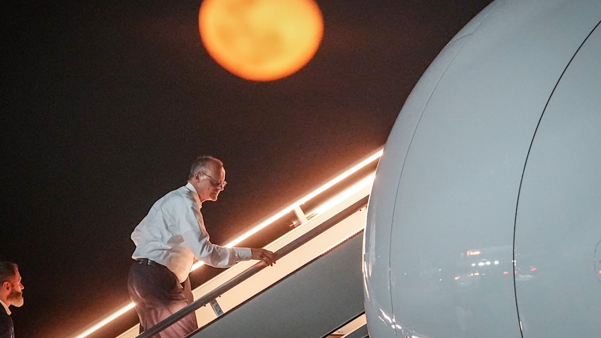 Die dümmste Klimapolitik der Welt – und ihre katastrophalen Folgen to.welt.de/C16F594