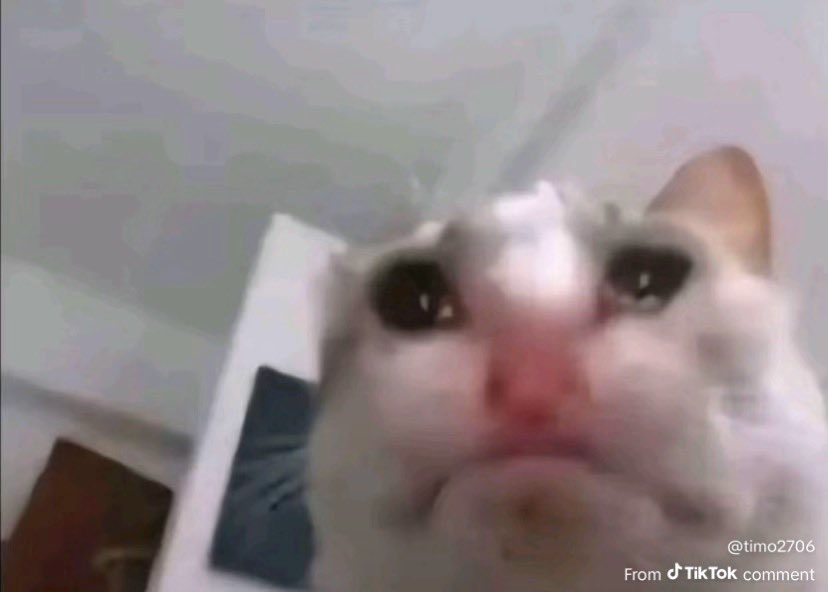 Jam_ing13's tweet photo. @nendeavor Who the fucks being mean to you https://t.co/NfXsX0gYku