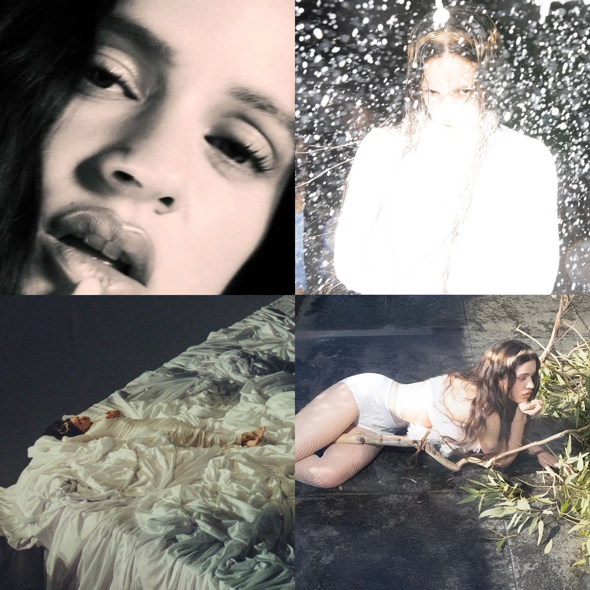 hadidvh's tweet image. estéticas perfectas de artistas españolas

— VIOLETA, LUX, BODHIRIA, ANELA