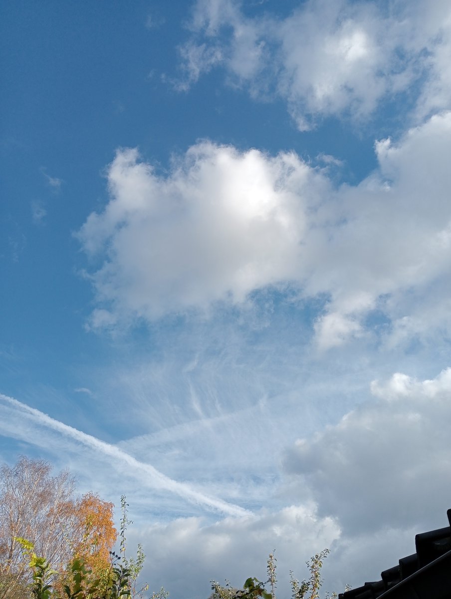 Lavante21575499's tweet image. More Netherlands, November 9th. #geoengineering #bioterrorism. What does your sky look like today?