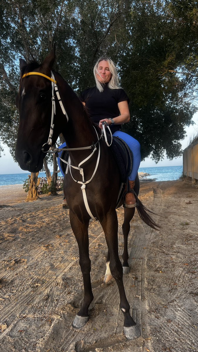 Adventurekhobar's tweet photo. Horse Riding in Dammam
#Dammam #Horseriding #horseridingdammam #alkhobar https://t.co/XfQ7IHIJ8h