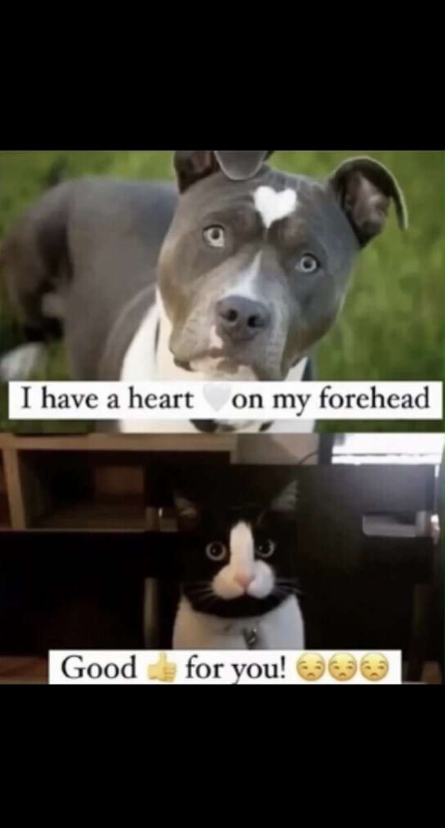 ⁦<a href="/13thKai/">13thKai #𝘾𝙤𝙢𝙧𝙖𝙙𝙚𝙇𝙤𝙠𝙞 🇷🇺</a>⁩ Morning Rebel General😆💜🙏🏻