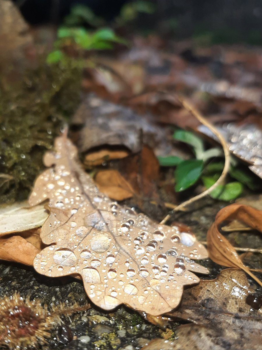 Connected across the distance