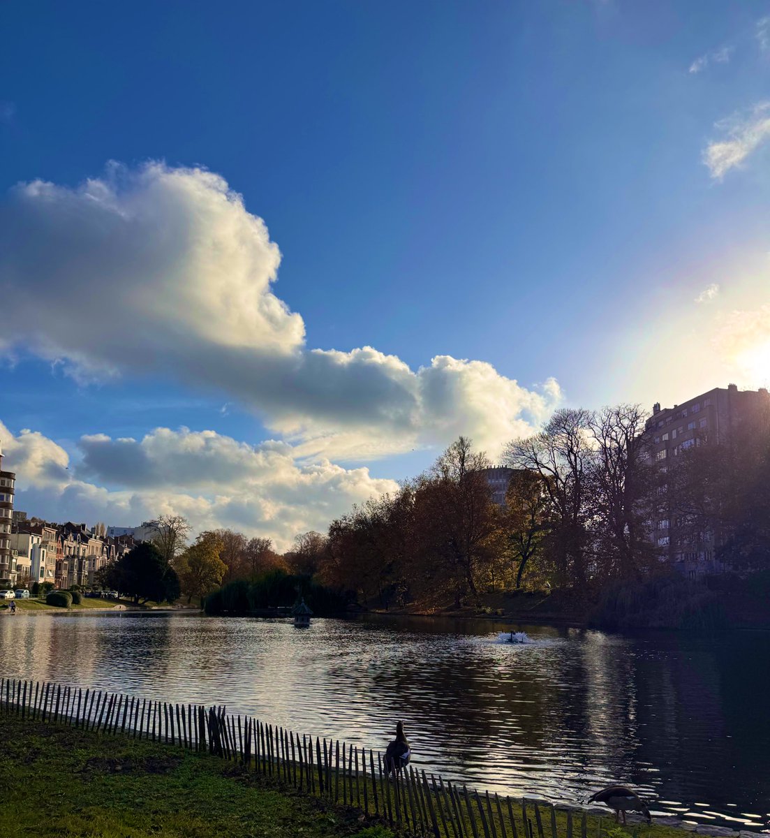 Protected1337's tweet image. GM ! Wishing y’all a wonderful Sunday.