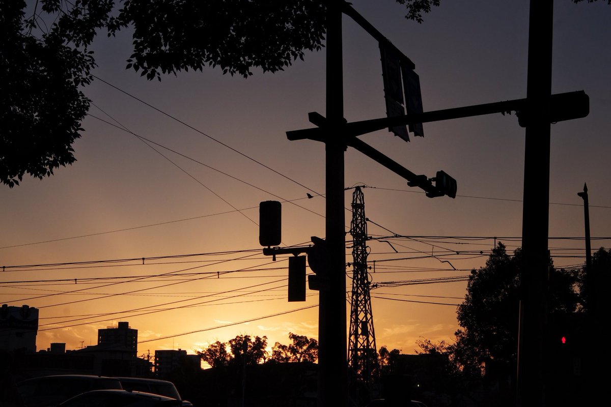 huerumegane's tweet image. 