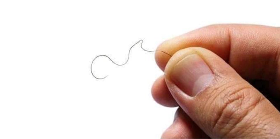 TheMagadhBihar's tweet image. झारखंड को 👇🏻👇🏻 नहीं जानता है कोई