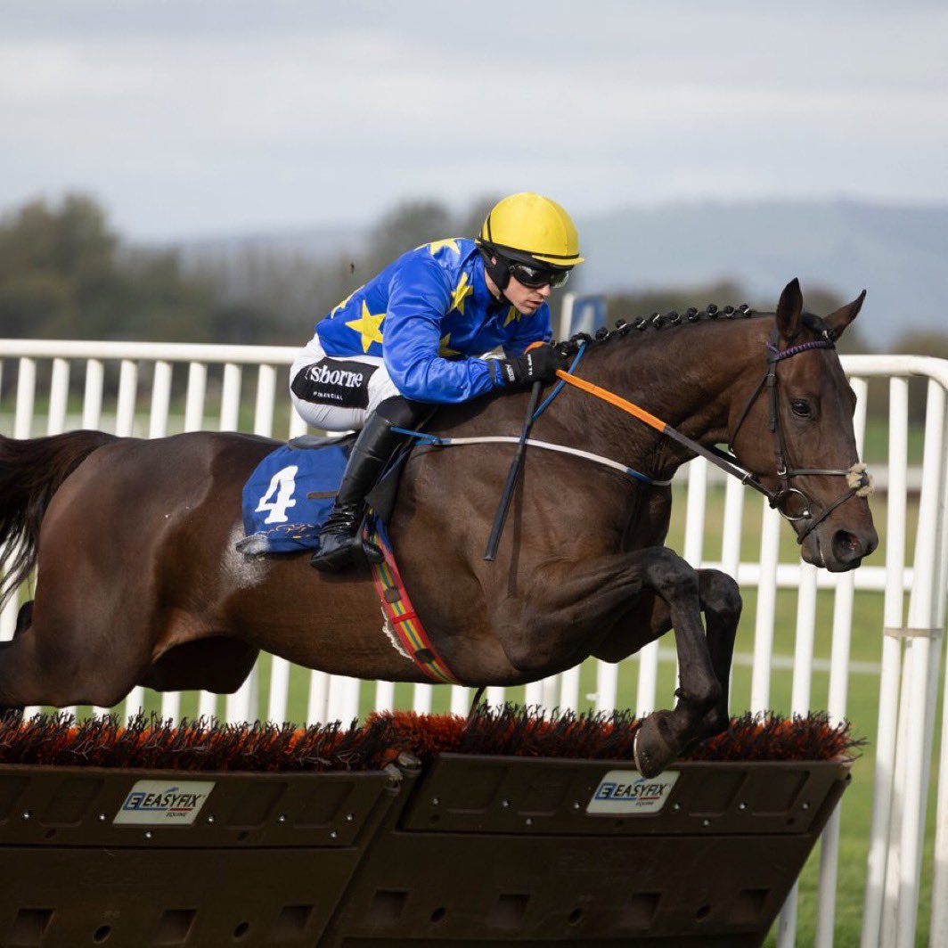 6/1 Letos (11/1 SP) ✅ 

Profit day secured to cap off a solid week &amp; start to November 🏆 

One horse left to run. 

t.me/RacingPulse_bot