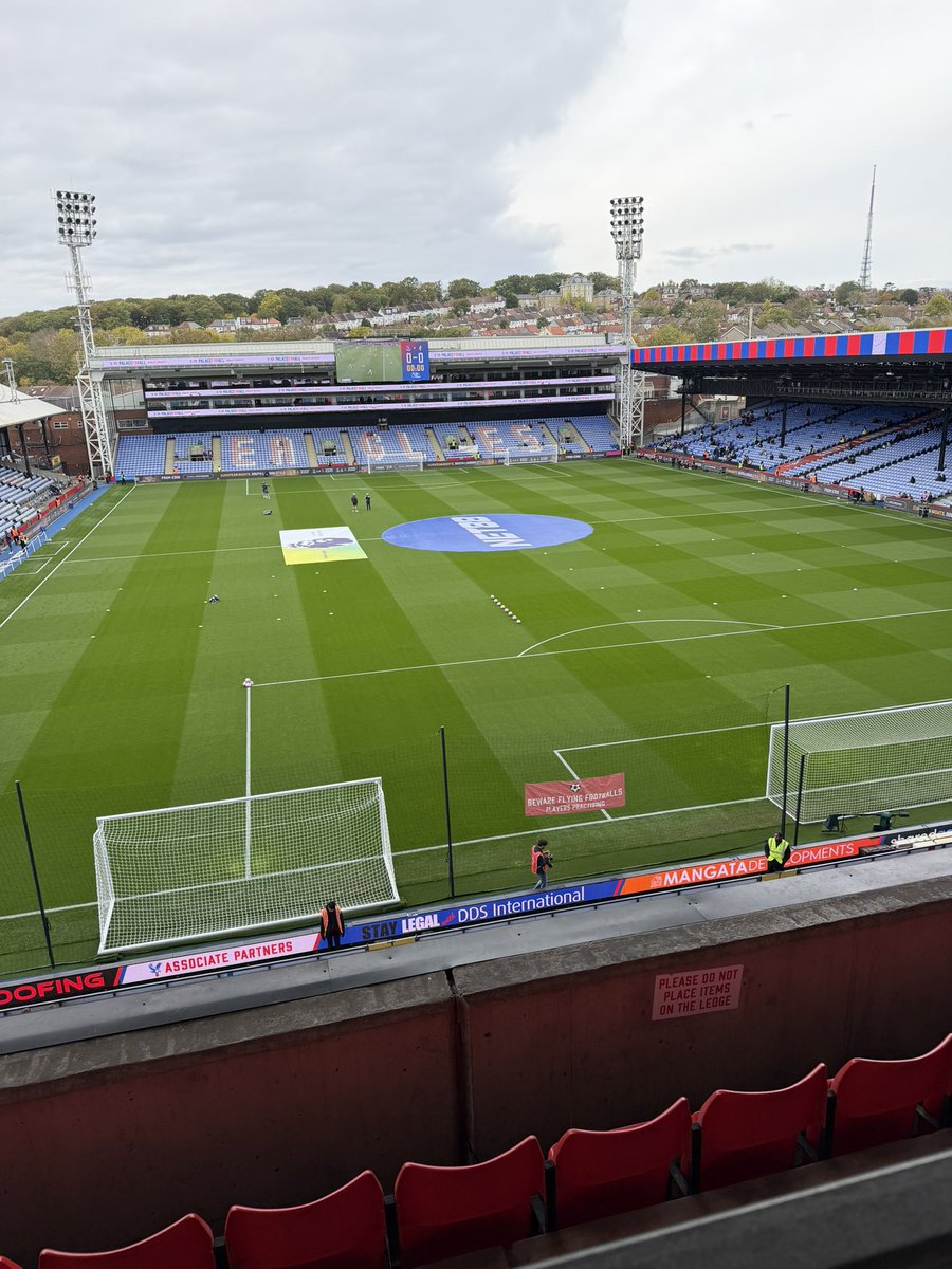 Gerson Guitz tweet media