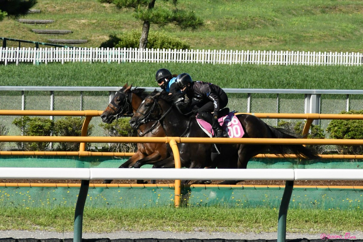 shirono_uma🌈 on X