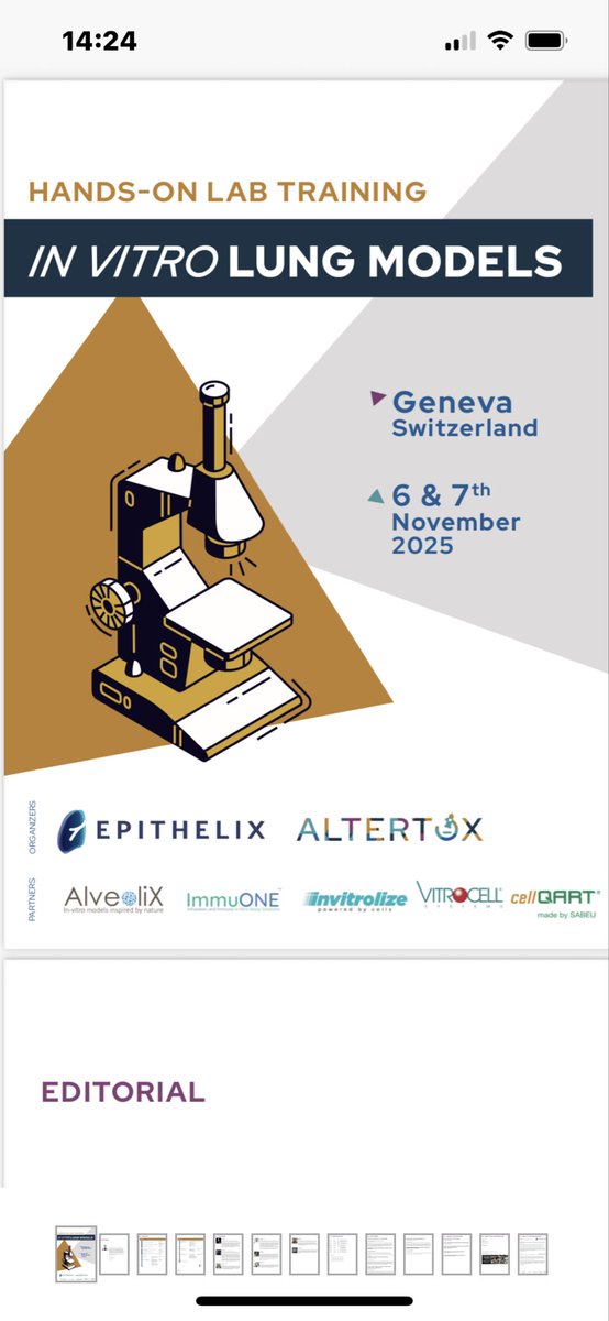 Adele Mccormick tweet media