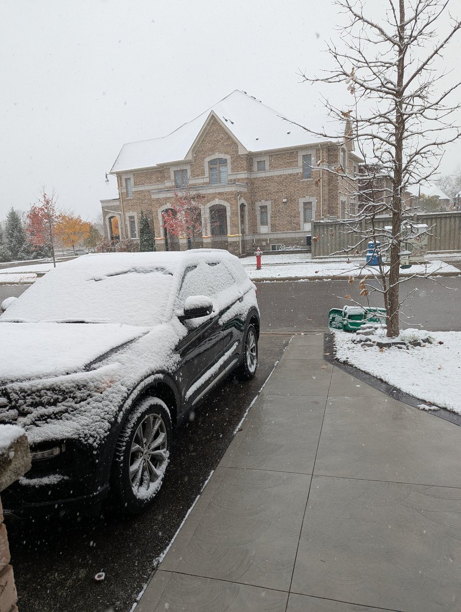 techie_piyush's tweet image. And it begins 😃
First snow of the season