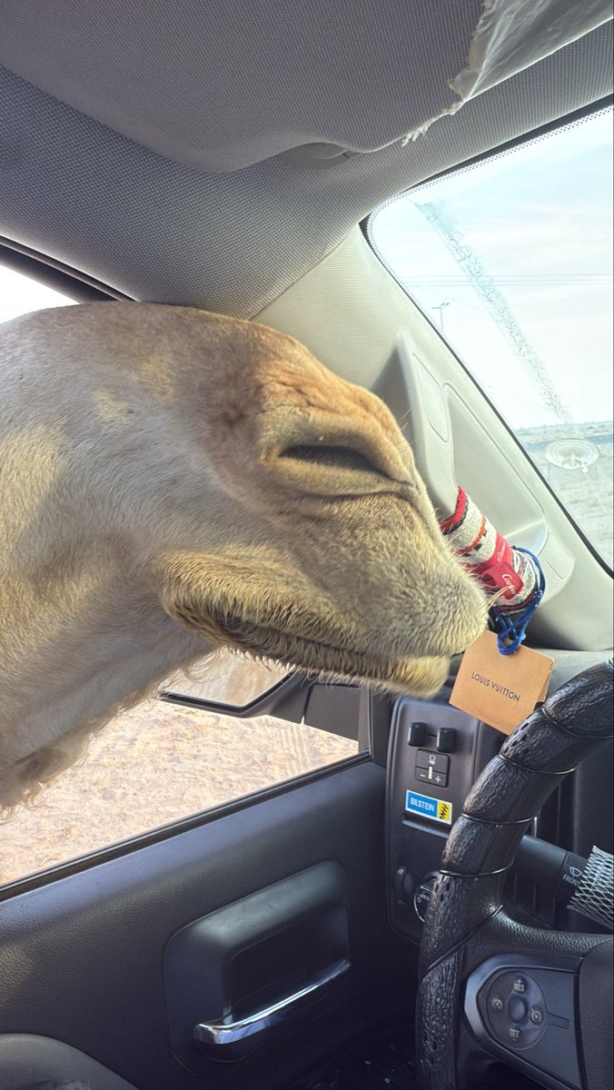 «كنّي وأنا أدوّر الفرحة مع الدالهين
مضيّعٍ لي ذهيبٍ ما عليها وسم»
• جبار المعاوي
