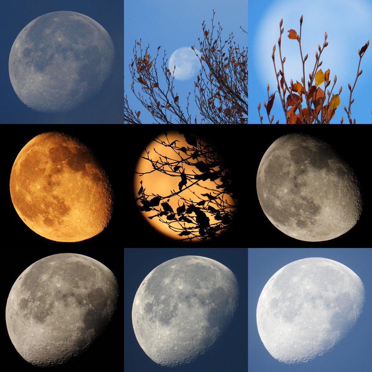 FunkyAppleTree's tweet image. What a wonderful weekend :) @StormHour @ThePhotoHour #LoveUKweather #Autumn 🌖🍂🍁