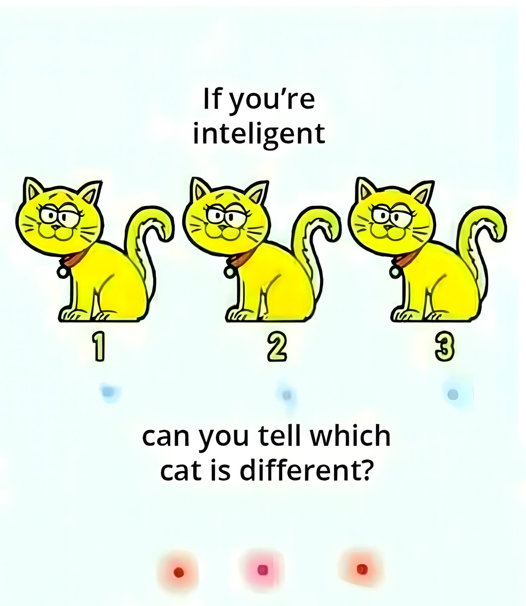 otokyo__'s tweet image. Can you tell which cat is different?