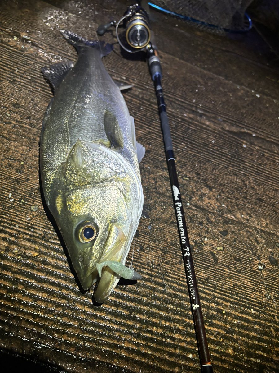 わんず シーバス向けの擬似餌製造 (@wansgijie) / Posts / X