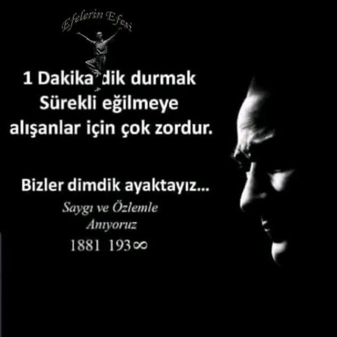 erol özyeğin (@erolozyegin1) on Twitter photo 