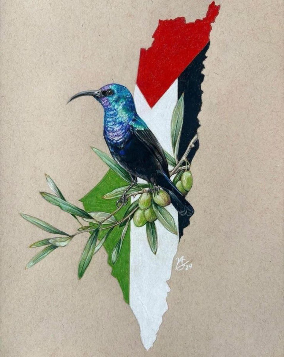 7MohammedKhaled's tweet image. When you stay silent, you side with power. When you speak, you side with life. #FreePalestine✌️