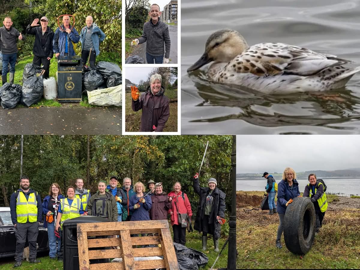 AlistairFergu11's tweet photo. Organised pick yesterday, about 40 bags worth. Some of the biggest fireworks I've seen too. #litterpicking #litterfree #Cleanup #ReportingLitter #keepbritaintidy #LeaveNoTrace
#KeepScotlandclean #KeepScotlandtidy
#Scotlandisbeautiful #Dontbeatosser
@SustransScot #OneMillionBags https://t.co/7bHE5OALw9