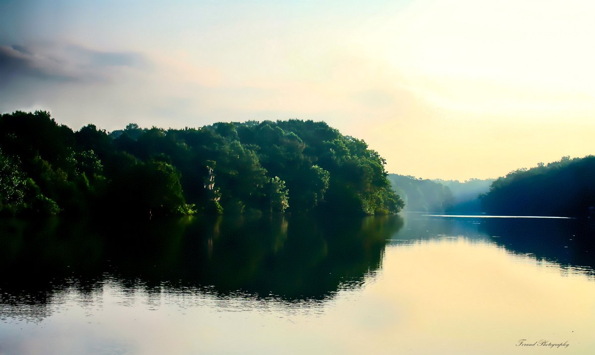 Captured during a foggy Florida dawn, light pierced through trees, embodying tranquility. As caregivers, stepping away isn't always possible, yet serenity exists in still moments. Explore the River Collection: debra-forand.pixels.com/.../at-dawn-de…... #Peace #Caregivers
