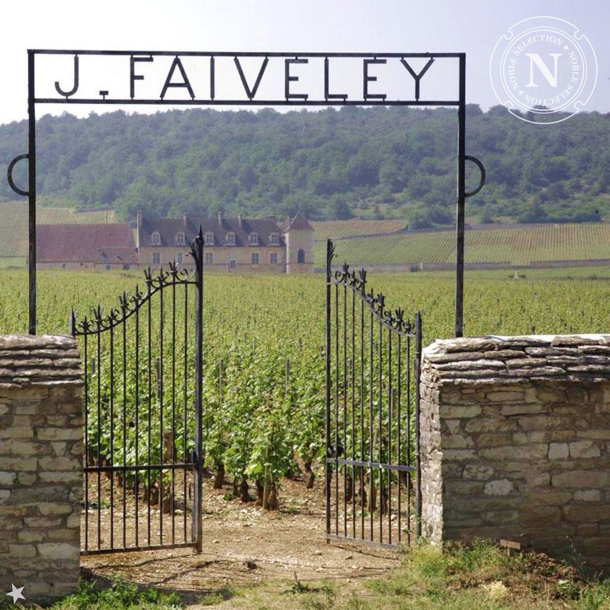 Noble Sélection tweet media