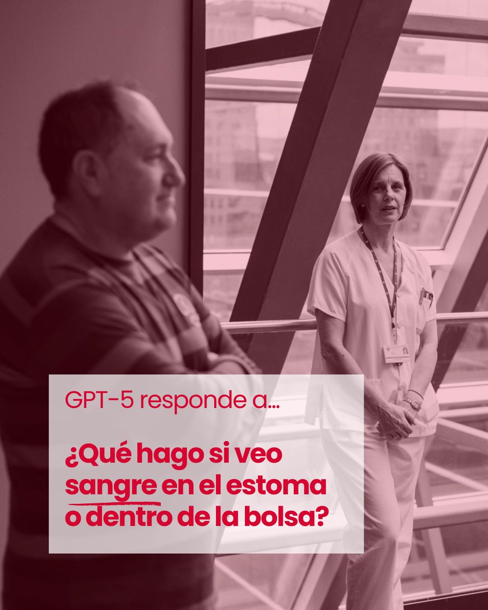 Proyecto GESTO tweet media