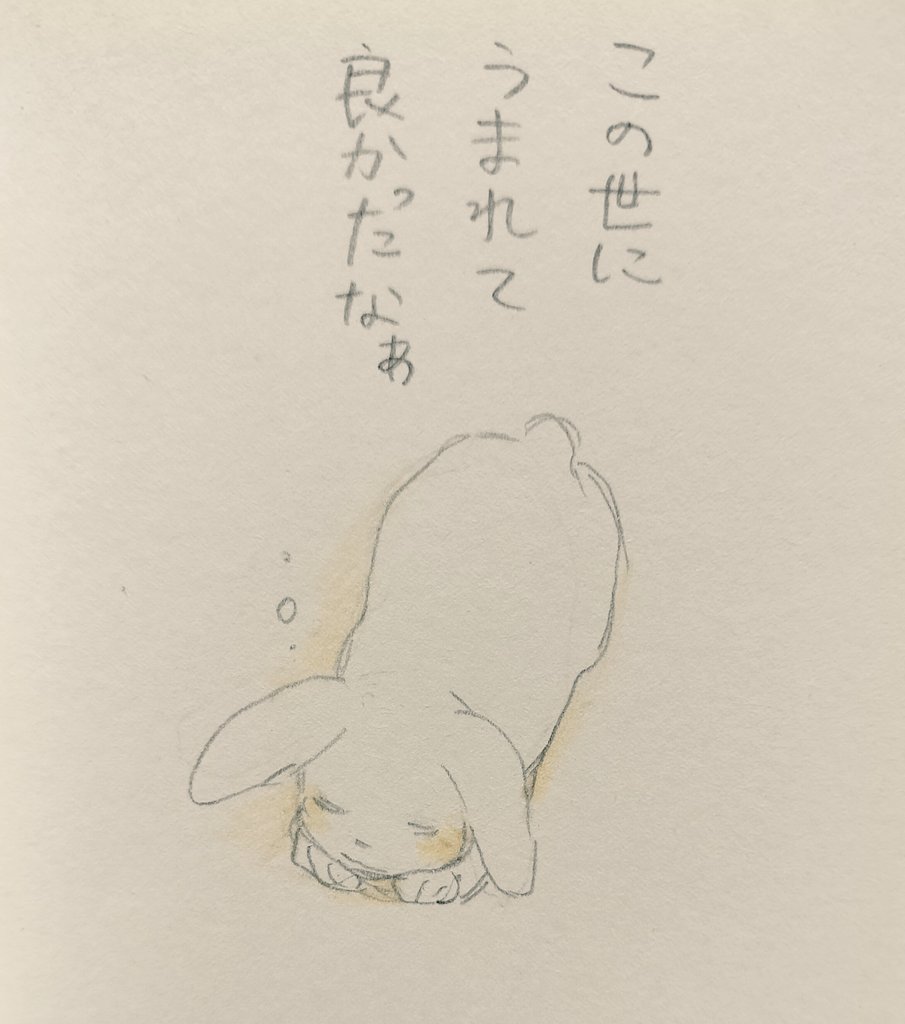 sakai2asami's tweet image. おやすみなさい

#ほっこりうさぎ