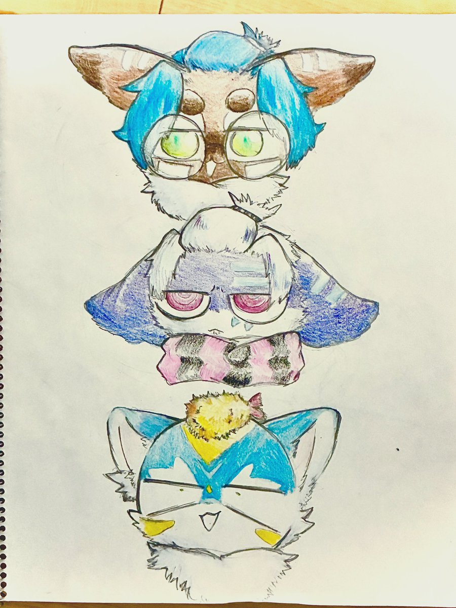 ボママチ (@shafu_bomamachi) on Twitter photo 