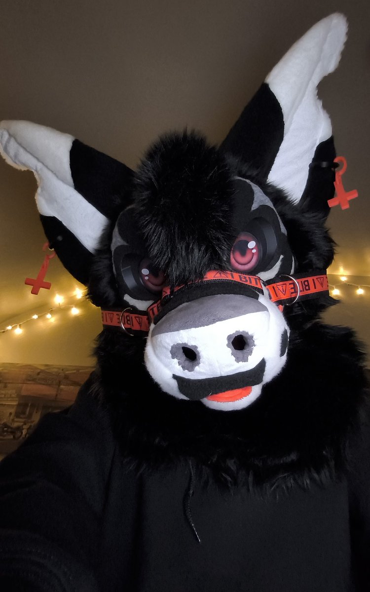 Go ahead boop the Snoot