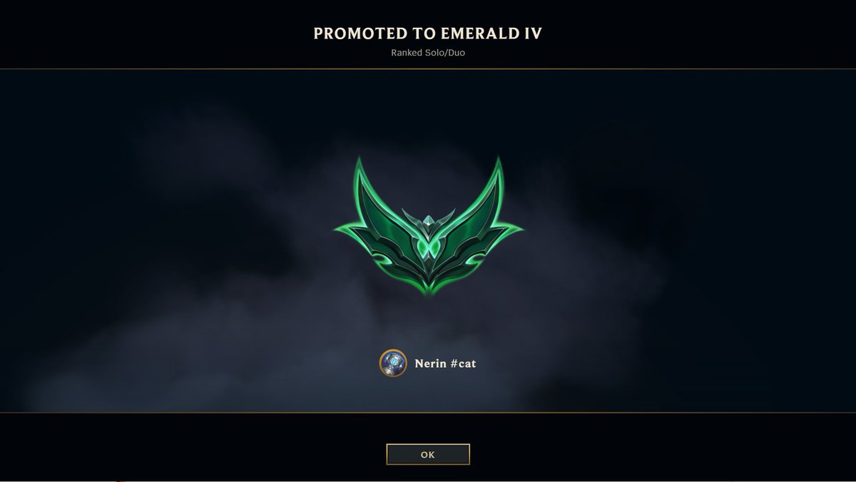 Nerin音鈴 ✈️🐱 tweet media