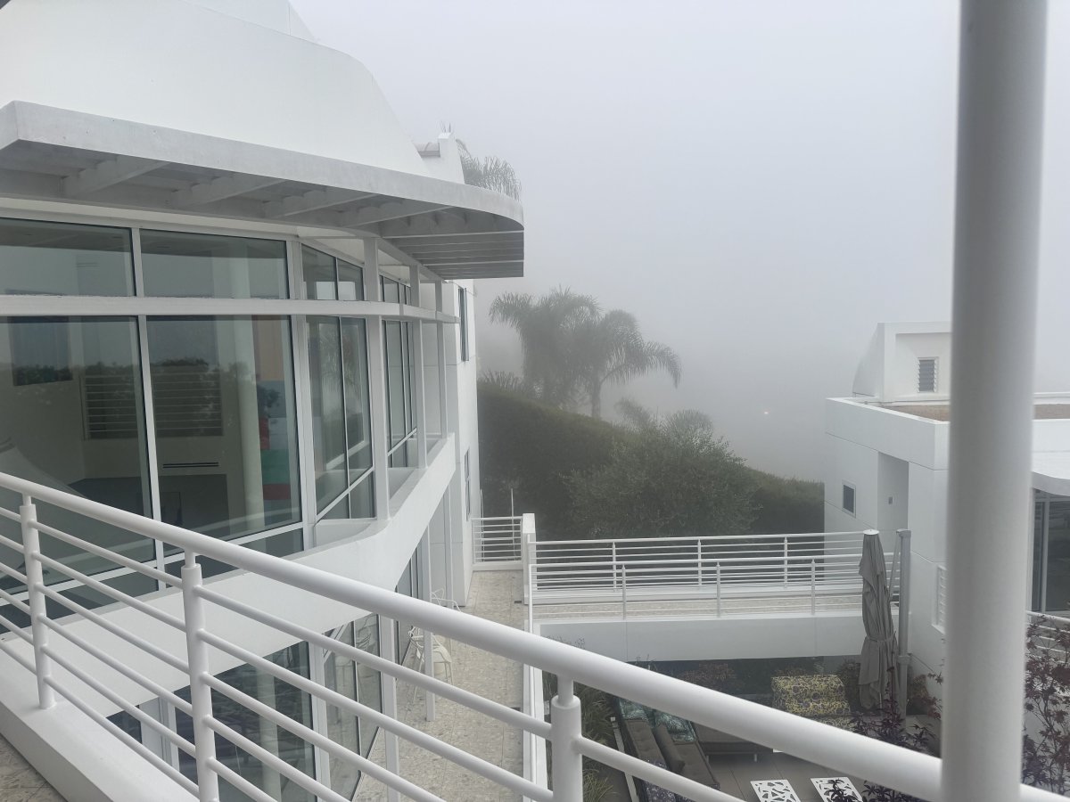 layers in the mist.
#microclimate
#layeredvision