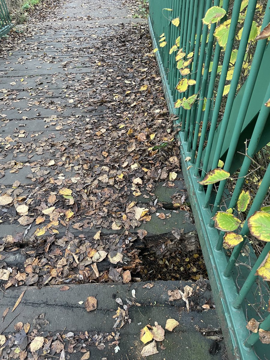 Stephinnotts's tweet image. ⁦@AttenboroughNR⁩ I know you’re dealing with other bridge issues, but this doesn’t look too good on the fisherman’s car park bridge…