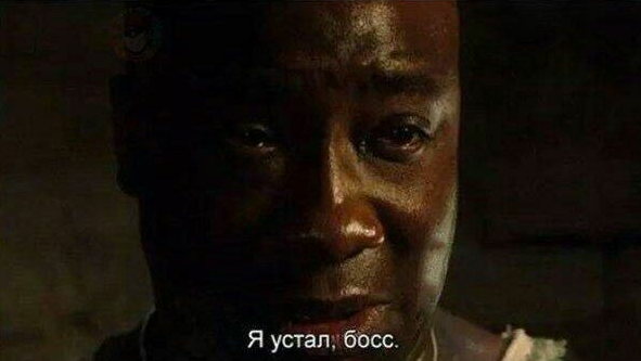 Русский базированный гигашлёпа с бородой tweet media