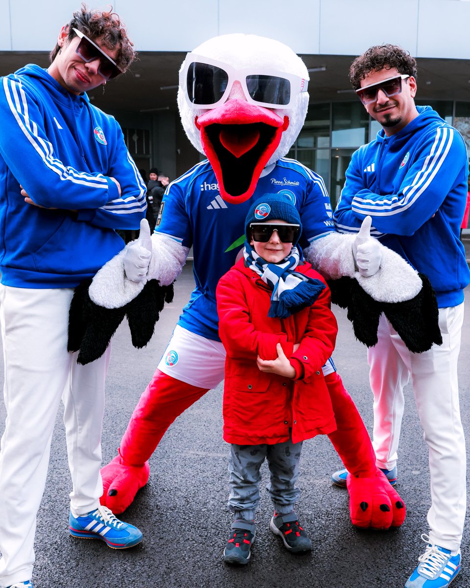 RCSA's tweet image. Bienvenue à la Meinau 💙

▸ #RCSALOSC