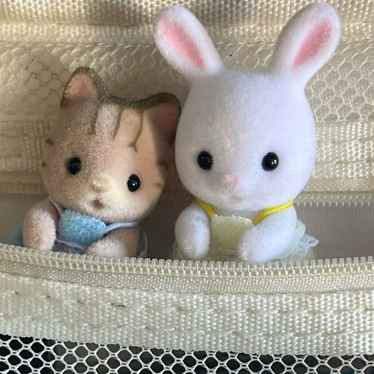 soowkz's tweet photo. #moothunt #moothunting #meetfriends
.𖥔 ݁ ˖ Day 4
✦•┈๑⋅⋯ ⋯⋅๑┈•✦
nana / nino 16 ⬎
She/Him, 🇧🇷🇺🇲, Infp
multifandom’ 📨
basic dni , i block freely !
♡ e ↻ para sermos moots
♡ and ↻ to be moots
✦•┈๑⋅⋯ ⋯⋅๑┈•✦
#alnsttwt #kpoptwt #yaoitwt #genshintwt https://t.co/jYhcqYpquz