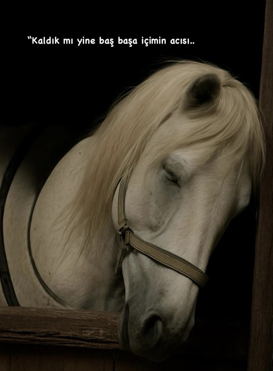 Prezervativ bilan jinsiy aloqa video