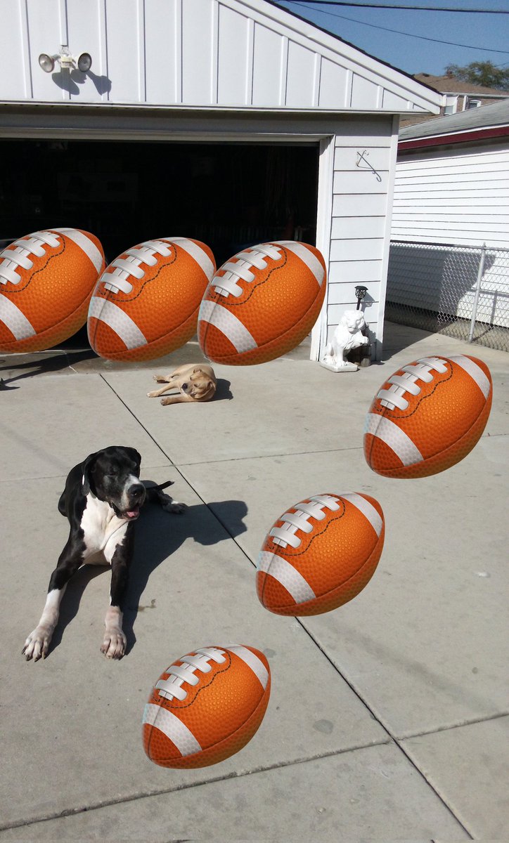 SUNDAY #NFL ACTION:

IGOR SAYS TAKE TAMPA BAY (-2.5)
JACKSONVILLE (+1.5)
UNDER (45.5) NY GIANTS/CHICAGO
ARIZONA (+7)
LA CHARGERS (-2.5)
OVER (49.5) DETROIT/WASHINGTON

#NFLPicks 

Act Accordingly
🐕🏈