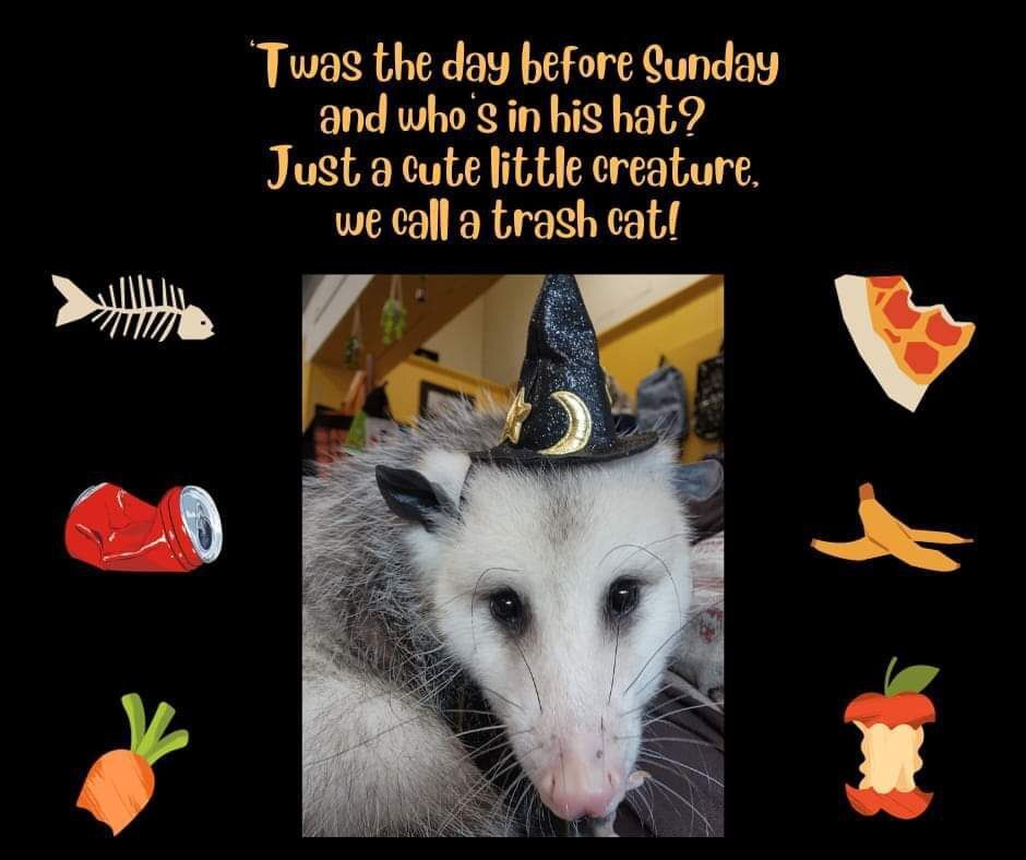 Snaggletooth Screamer (@deathposs) on Twitter photo 