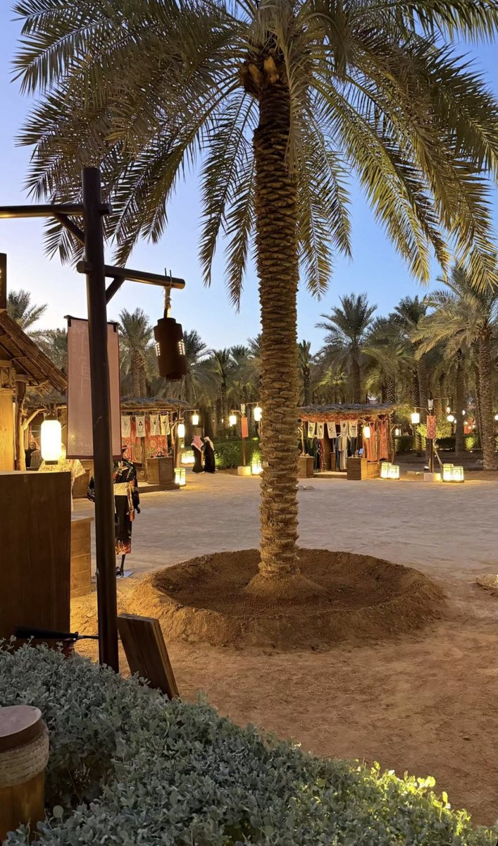 دح ☕️ tweet media