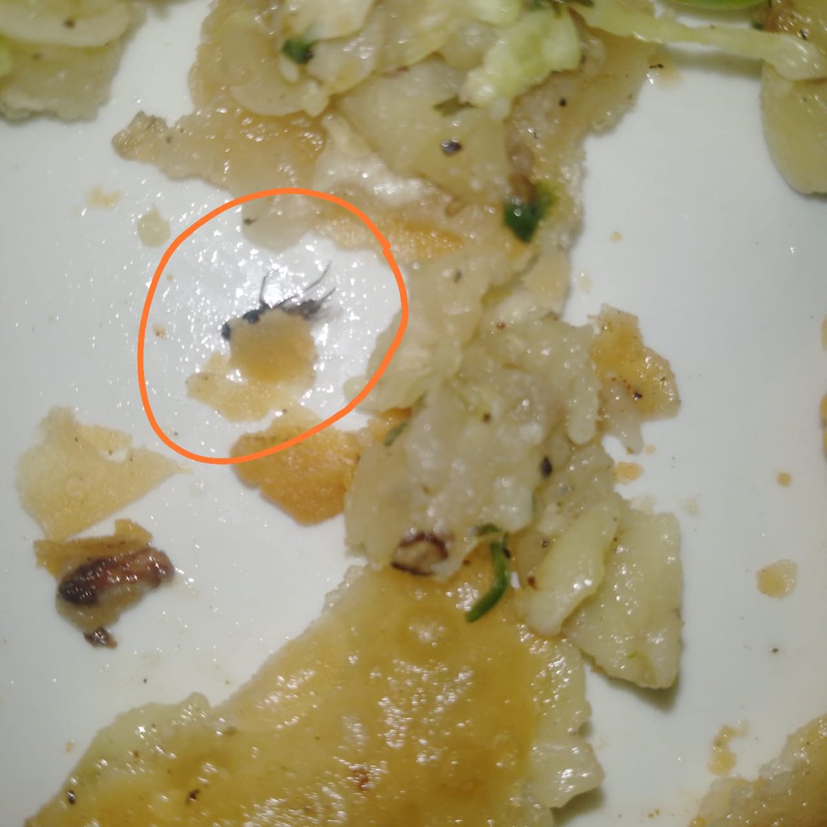 پارلیمنٹ ہاؤس کی پارکنگ میں انتہائی گندی کینٹین ہے جہاں صفائی ستھرائی کا خیال نہیں رکھا جاتاآج دوستوں کے ساتھ چائے پینے گیا سموسے بھی منگوا لیے  تو اس میں مکھی نکل آئی،، سی ڈی اے سورہا ہے کدھر ہے اسلام آباد فوڈ اتھارٹی