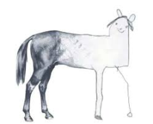 scolapamine's tweet photo. Who is ready for the last leg of this crypto bull market? https://t.co/vZwKGWyHhZ