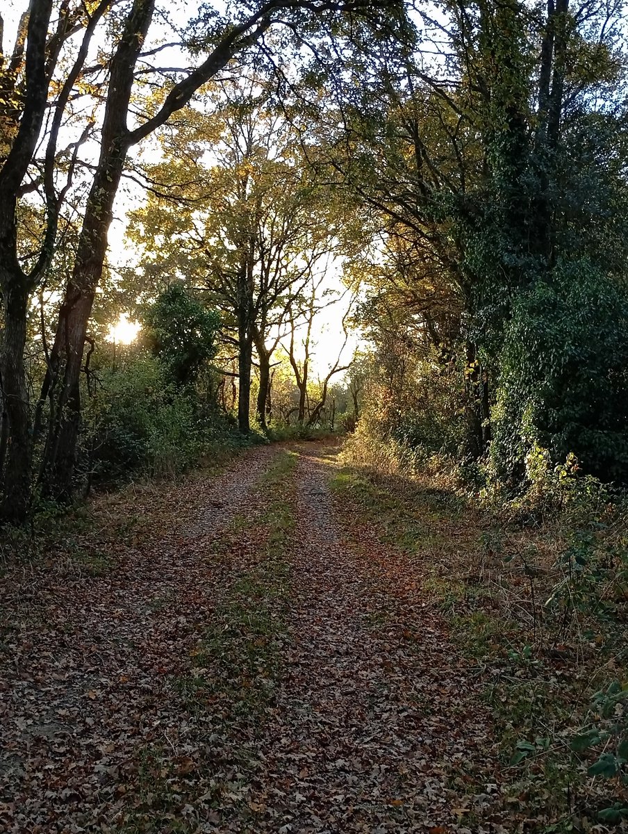 Sevennor's tweet image. Douceur angevine