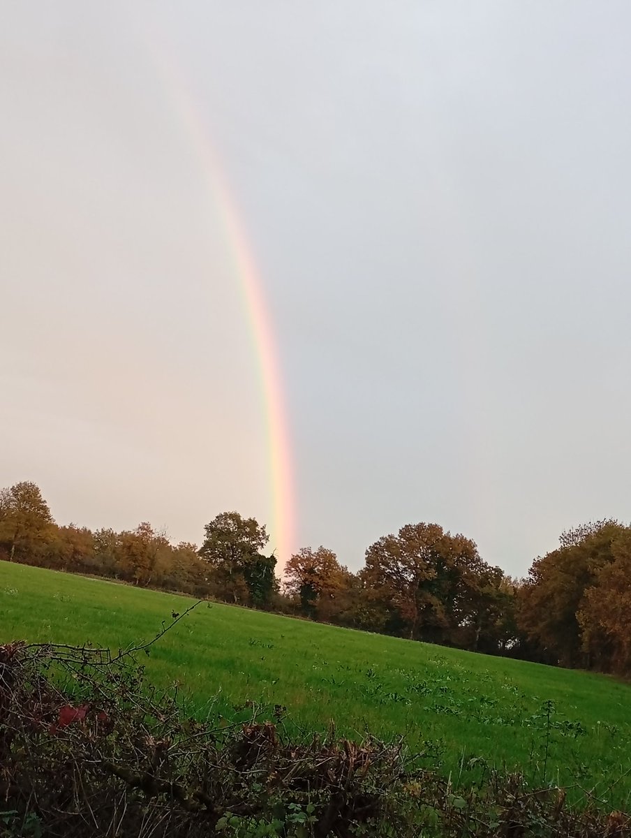 Sevennor's tweet image. Douceur angevine