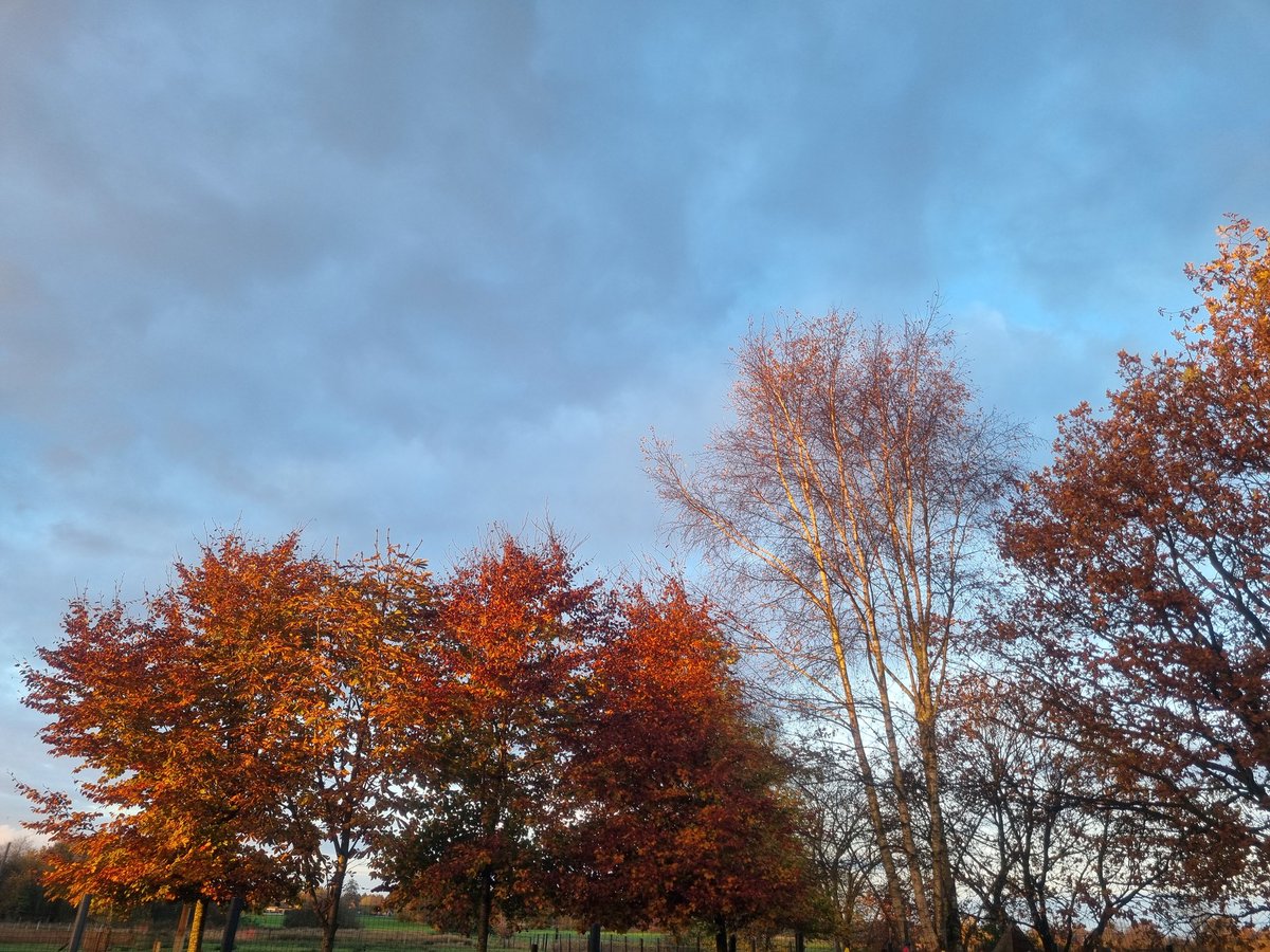 #Ostfriesland ist wunderschön 🥰