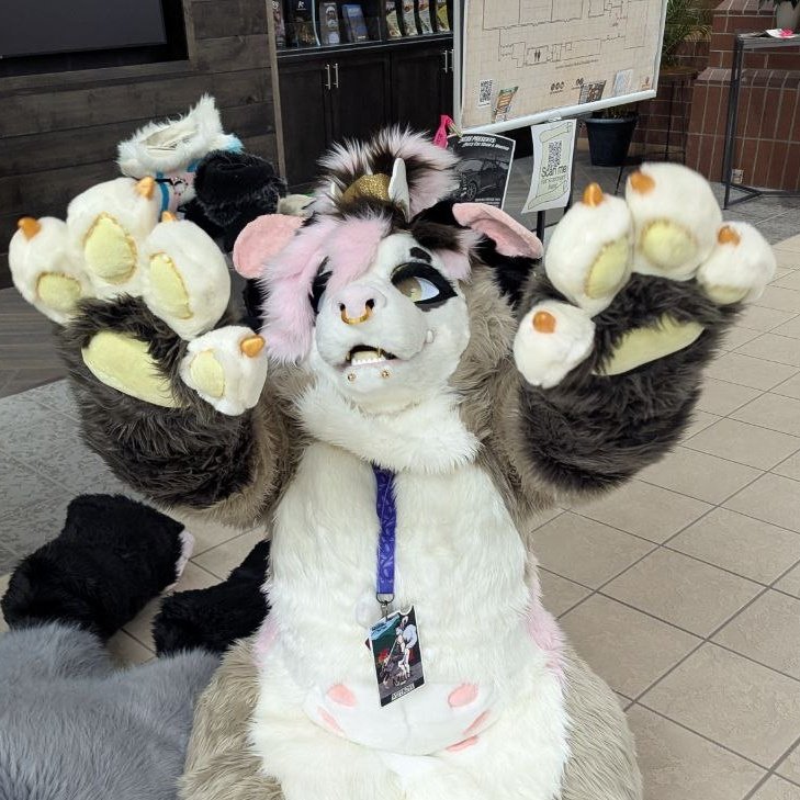Can I have uppies?? #carolinafurfare #cff 📸 <a href="/ZabuTheSergal/">Zabu™</a>