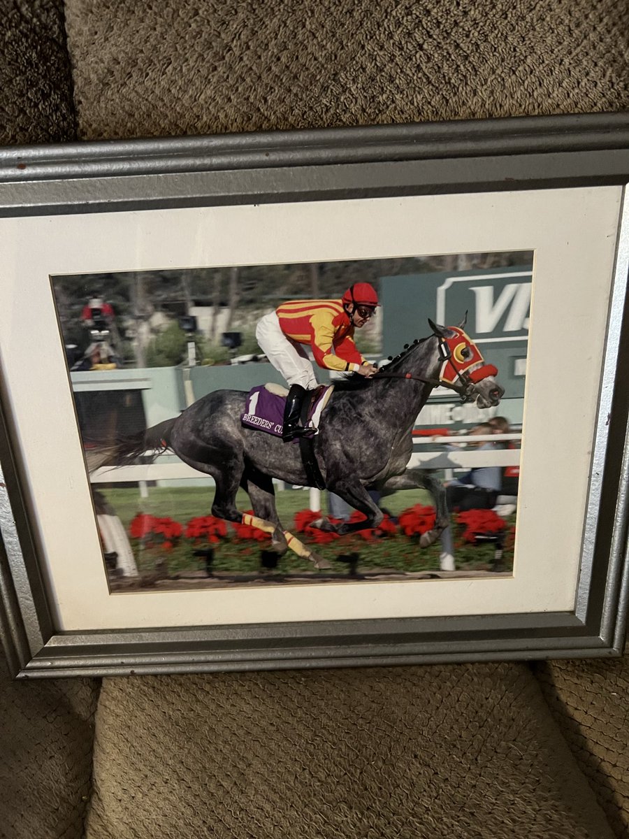 allieluvsracing's tweet image. Got these treasures for my sister at a thrift store. Easy Goer signed by Pat Day. Curlin signed by Robby Albarado. We do not know the grey Breeders Cup horse. Help please. @curtiskalleward @ToddTVG @JoeTalamo @CBredar @FanDuelTVMike @FanDuelTVSimon @Hinesite
