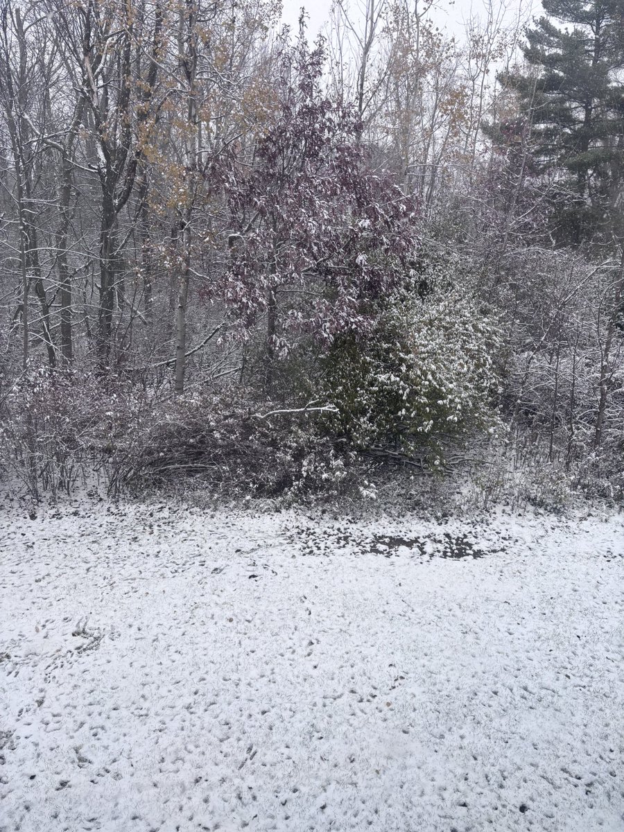 i still remember the first fall of snow and how it glistened as it fell (im not ready for snow)