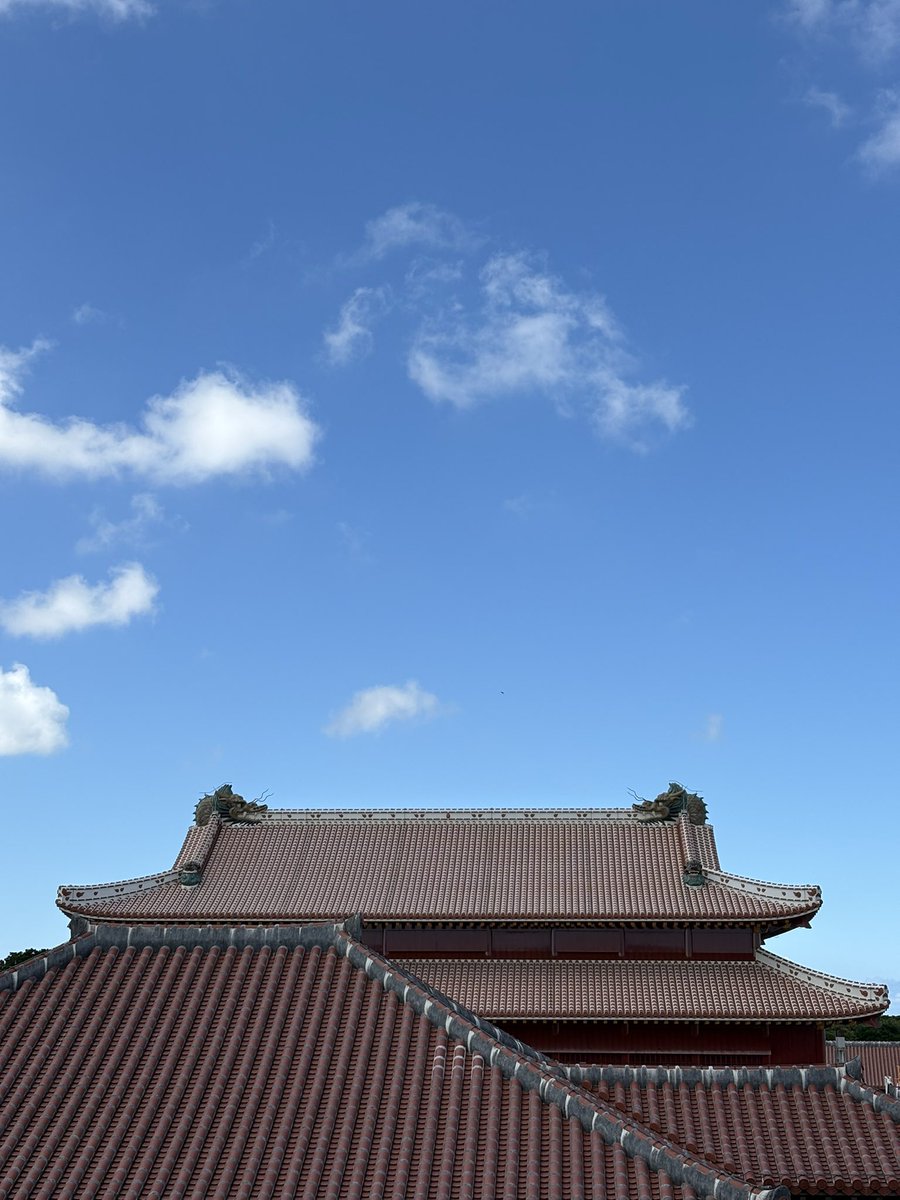 首里巡りの際に買い物でお邪魔させてもらいました。
👏50周年おめでとうございます👏

階段を降りたらお出迎え。
#コープおきなわ　×　#沖ツラ
#コプツラ